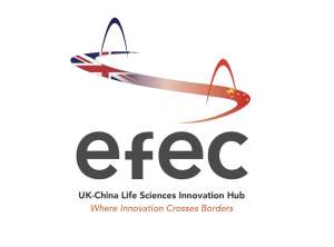 Organisation Logo